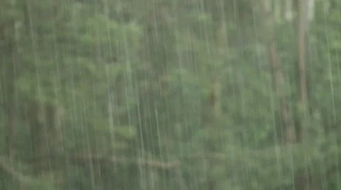 Shower Stock Footage 51376873