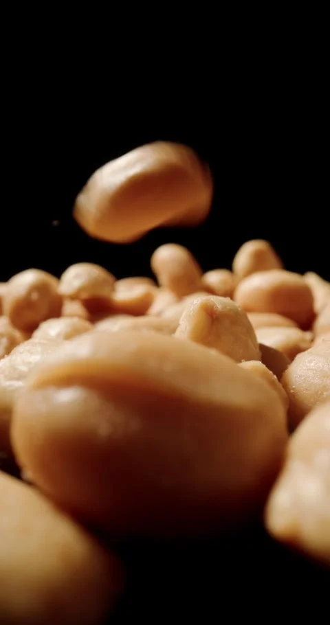 A shower of peanuts drops from above, their textured shells hitting the surface Stock Footage 310053815