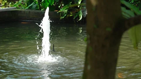 Shower in the pool 10bit 4k 60fps Stock Footage 269698026
