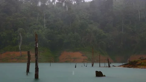 Shower Rain Dropping on Blue Lake with Dead Woods and Green Rain Forest Hills Video stock 140994085