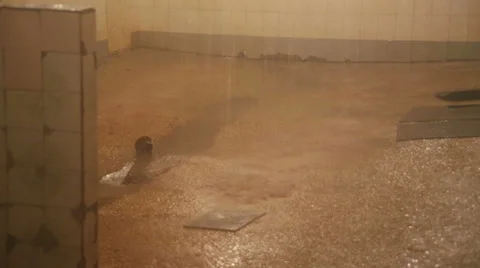 Shower room Vídeos de archivo 35266182