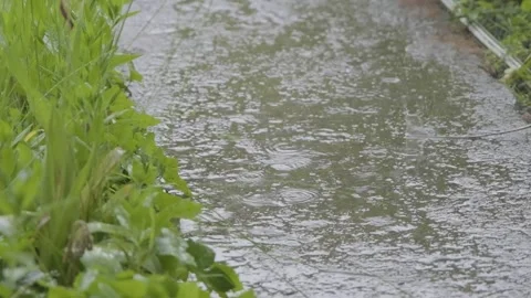 Shower slow motion. Drops of rain fall on the sidewalk. Raindrops falling on the Stock Footage 262534130