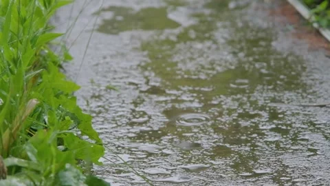 Shower slow motion. Drops of rain fall on the sidewalk. Raindrops falling on the Stock Footage 262534196