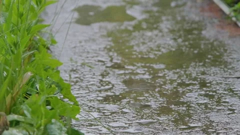 Shower slow motion. Drops of rain fall on the sidewalk. Raindrops falling on the Stock Footage 263730093