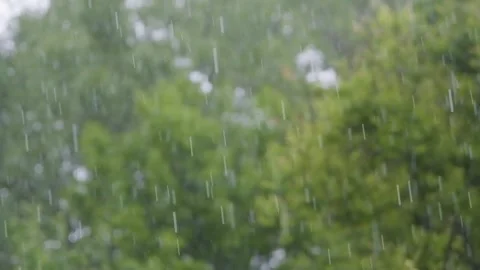 Shower slow motion. Rainfall against the backdrop of green foliage.. Raindrops Video stock 261221426