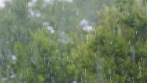 Shower slow motion. Rainfall against the backdrop of green foliage.. Raindrops Video stock 261221435