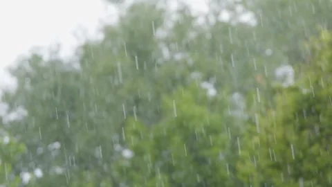 Shower slow motion. Rainfall against the backdrop of green foliage.. Raindrops Stock Footage 262533941