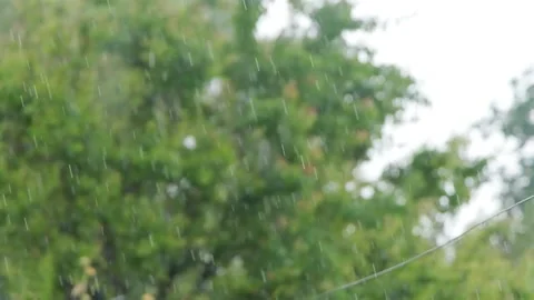 Shower slow motion. Rainfall against the backdrop of green foliage.. Raindrops Stock Footage 262534262