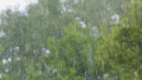 Shower slow motion. Rainfall against the backdrop of green foliage.. Raindrops Stock Footage 262770318