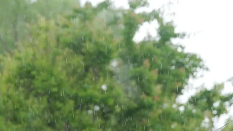 Shower slow motion. Rainfall against the backdrop of green foliage.. Raindrops Stock Footage 264949347
