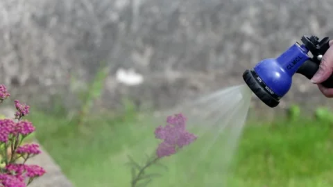 Shower spray from a garden hose Stock Footage 247407367