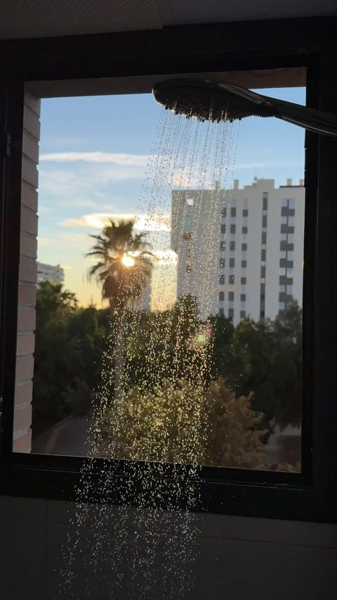 Shower stream with sunrise backdrop through window showing palm trees Stock Footage 295205633