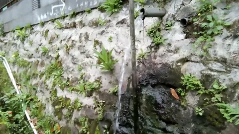 Shower of water from a pipe in the wall in the mountain countryside Stock Footage 228203733