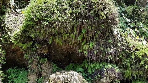 Shower-like waterfall Video stock 88176964