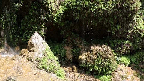 Shower-like waterfall Stock Footage 88232336