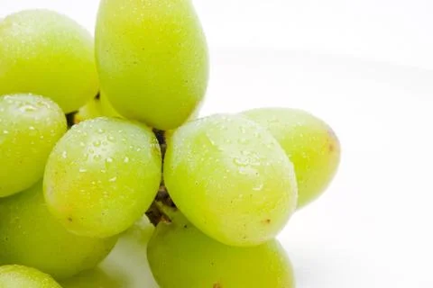 Showered Grapes Stock Photos