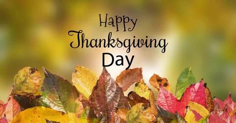 Showing autumn leaves pile with centered Happy Thanksgiving Day text on card, Stock Photos