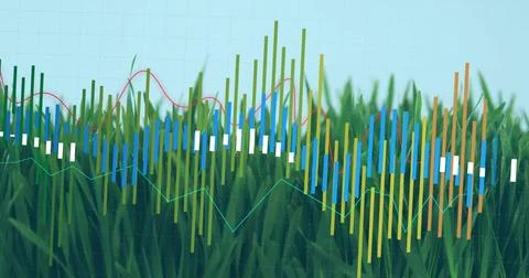 Showing bar chart overlay over grassland under blue grid sky, with candlestick 스톡 사진