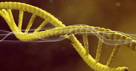 Showing beaded yellow DNA double helix twisting in close microscopic view, with Stock Illustration