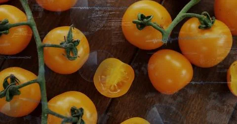 Showing cluster orange cherry tomatoes resting on wooden table, with halved Stock Photos