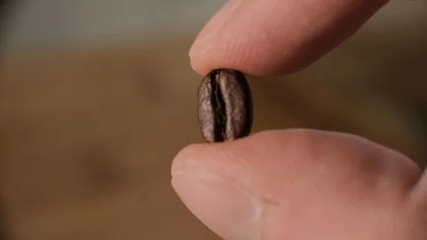 Showing coffee bean Stock Footage 105272132