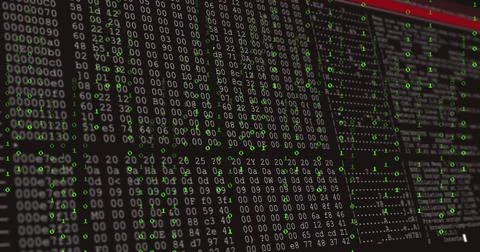 Showing computer display executing hex dump analysis at tech lab, with binary Stock Illustration