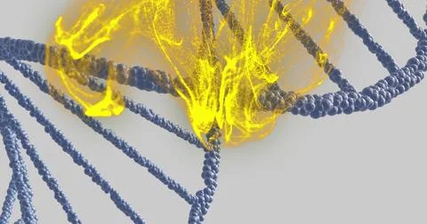 Showing dark blue double helix bead strands with round nodes on gray backdrop, Stock Illustration