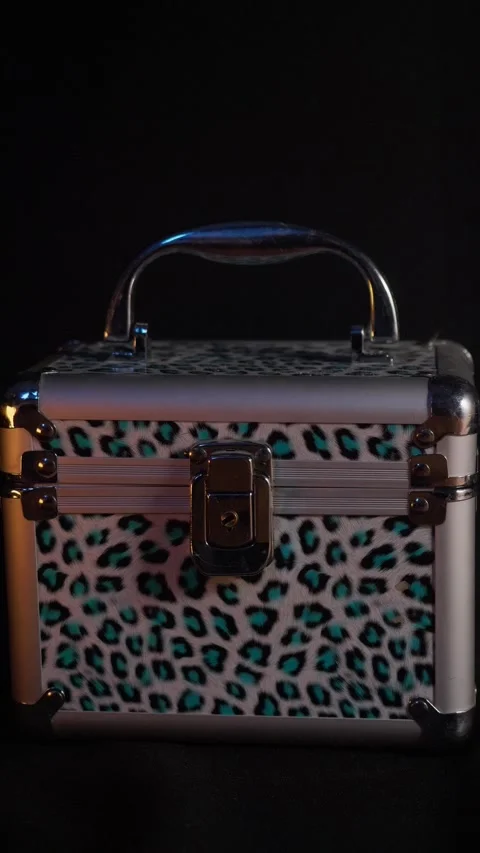 Showing a detailed look at a unique leopard print storage case with a shiny Stock Footage 324839261