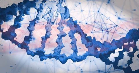 Showing DNA double helix twisting in virtual space, with network lines nodes Stock Illustration