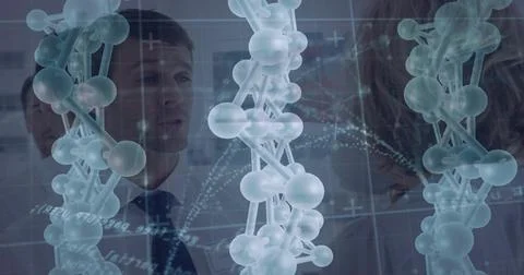 Showing DNA helix models floating in lab, with researchers wearing lab coats Stock Photos