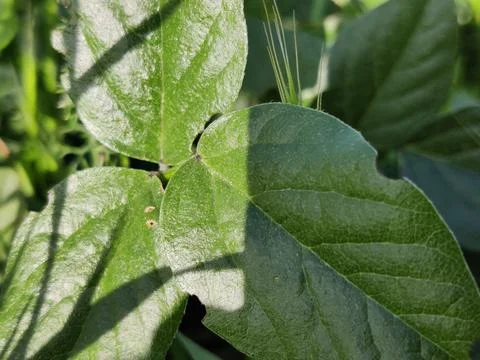 Showing, exploring Nerja city, coast, beaches. Spain, Europe Stock Photos