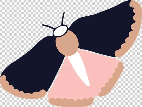 Showing flat-design moth on transparent backdrop with body, two-tone wings, Stock Illustration
