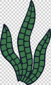 Showing flat vector succulent fanning five leaves with grid pattern on 스톡 일러스트