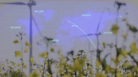 Showing foreground canola flowers centered in rural field, turbines turning with Stock Footage 332428707