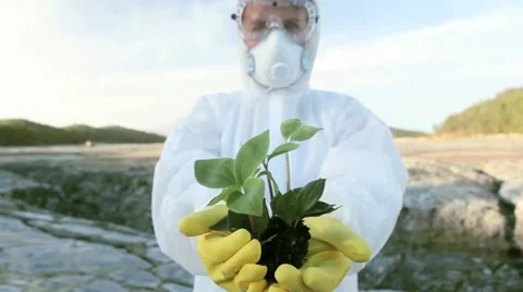 Showing growth Video stock 11825153