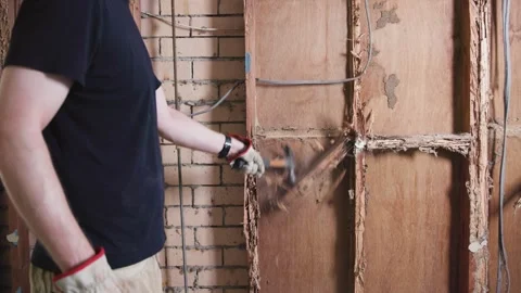 Showing how easily timber crumbles after being damaged by termites and white Stock Footage 333331067