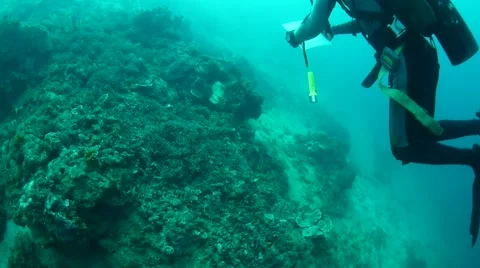 Showing the map of the uss coolidge Stock Footage 40732049