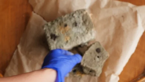 Showing moldy bread to the camera Stock-Footage 115834360