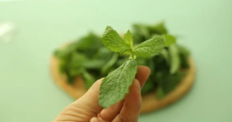 Showing peppermint to camera and putting it on wooden plate with mint leaves Stock Footage 133169573