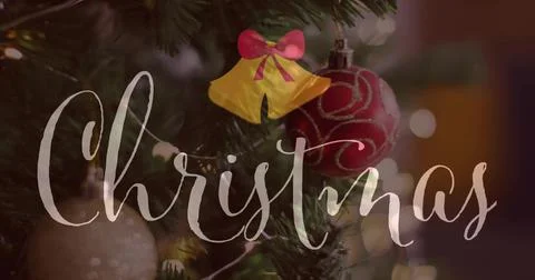 Showing pine branch featuring glossy red bauble, bokeh lights and Christmas 스톡 사진