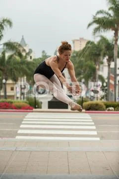 Showing power and grace at sea level. Stock Photos