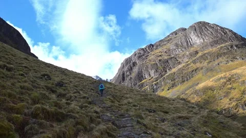 Showing resilience at the top Stock Footage 321462443