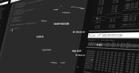 Showing right terminal with File  ENCRYPTION header, waveform hex dump on Stock Photos