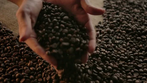 Showing of roasted coffee beans. Female hands raking beans in slow motion Stock Footage