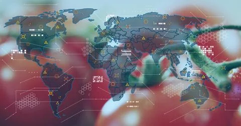 Showing see-through world map overlay spanning band over studio tomato backdrop, Stock Photos