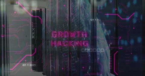 Showing server-racks with blinking LEDs and cables in data center, magenta 스톡 사진