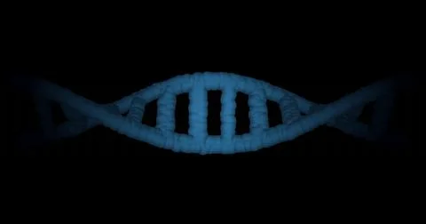Showing stylized 3D blue DNA helix centering in black studio, textured strand Stock Illustration