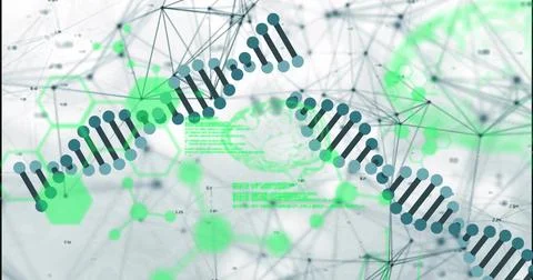 Showing stylized DNA helix spanning data canvas, showing network lines, green Stockillustratie