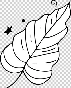 Showing stylized leaf line drawing with veins, dot, star outline, swirl on Stock Illustration