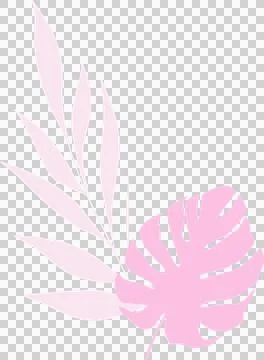 Showing stylized monstera leaf and palm frond illustration in pastel pink on Stock Illustration